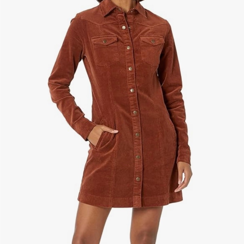 Corduroy dress, size large. Copper rust. Fine wale corduroy w/stretch.